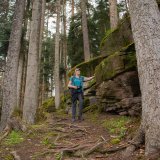 Afbeelding voor Wellness wandeling Zwarte Woud