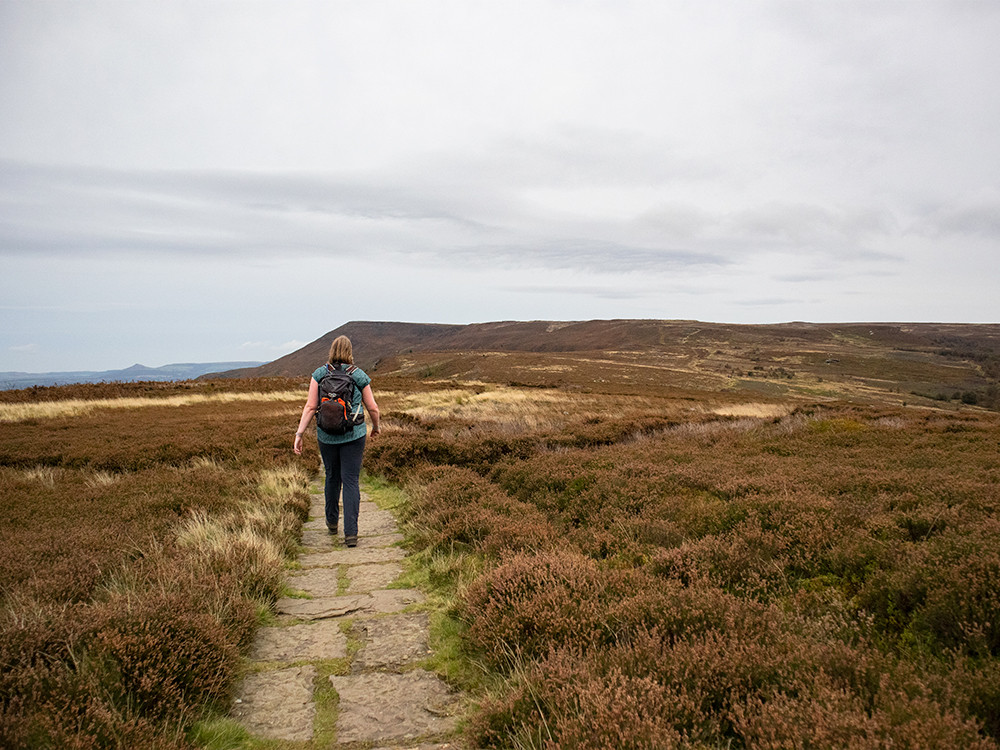 Wandelen in de moors