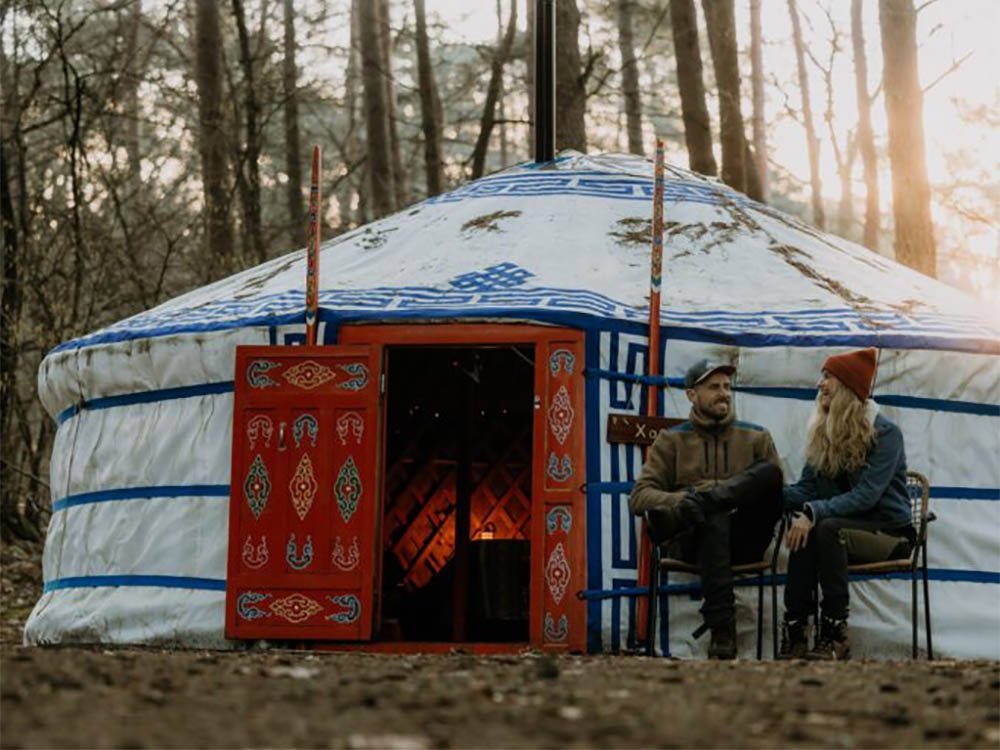 Winterwoods in Drenthe