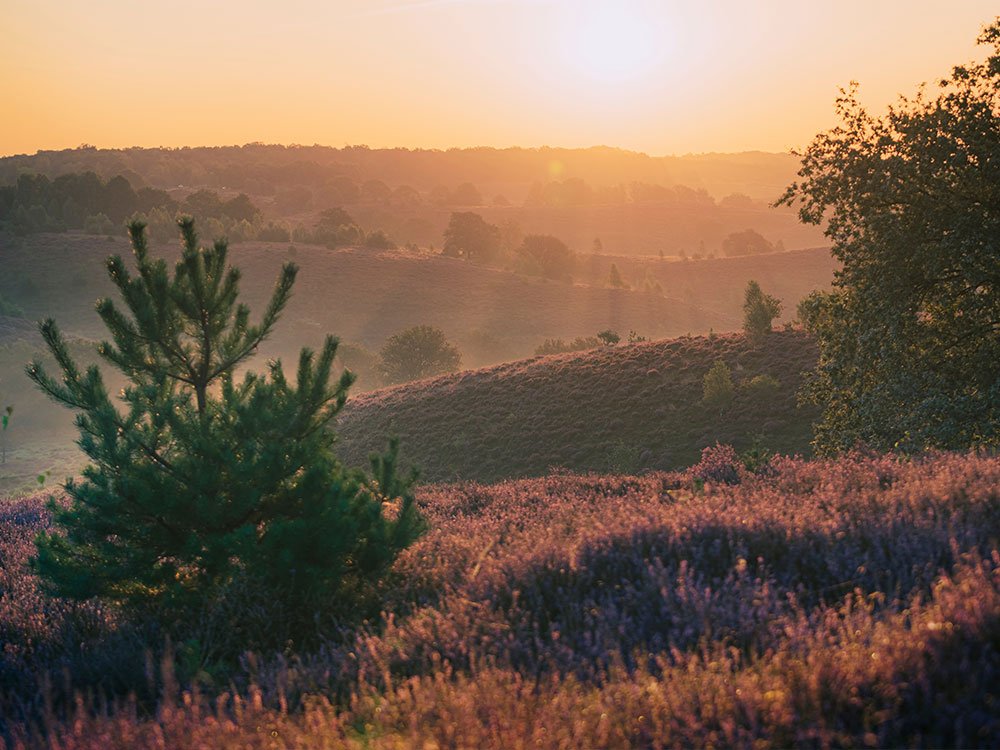 Tips voor landschapsfotografie