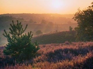 Afbeelding voor Beste tips voor landschapsfotografie
