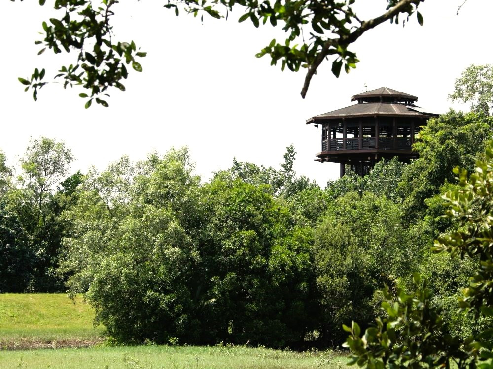 Uitkijktoren Sungei Buloh