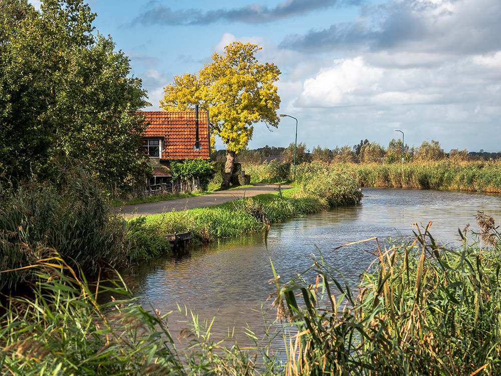 Natuur Vinkeveense Plassen