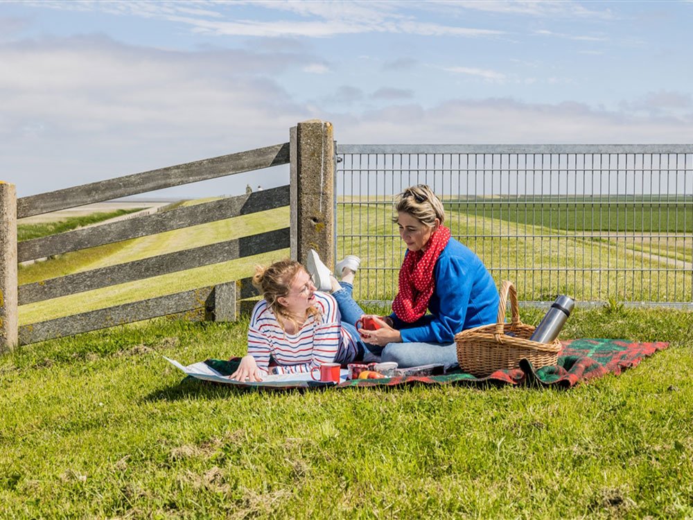 Lente-activiteit Friesland