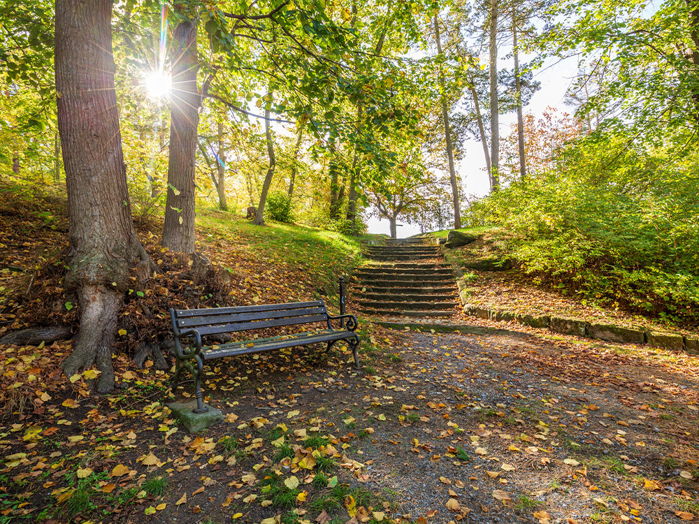 Herfst in Saksen-Anhalt