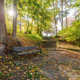Afbeelding voor Herfst in Saksen-Anhalt