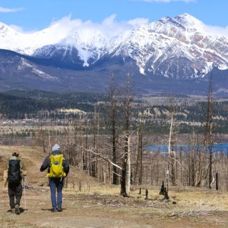 Afbeelding voor Jasper Nationaal Park