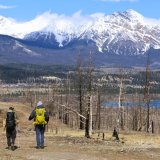 Afbeelding voor Jasper Nationaal Park