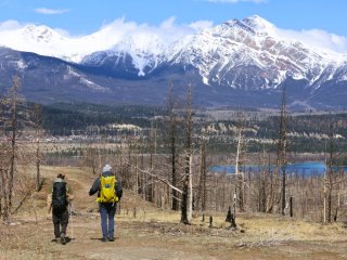 Afbeelding voor Jasper Nationaal Park