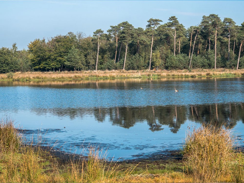 De Kampina