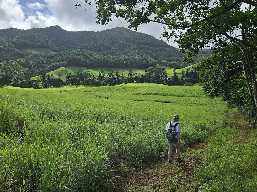 Groene omgeving in Mauritius
