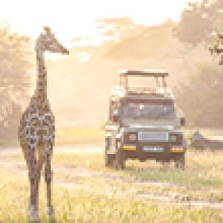 Afbeelding voor Tenzing Travel - Afrika rondreizen op maat