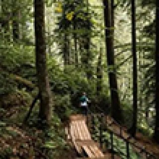 Afbeelding voor Travelbase - The Mullerthal Trail