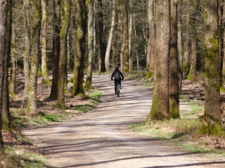 Afbeelding voor Mountainbiken