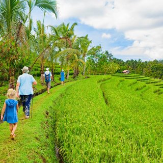 Afbeelding voor Reizen met kinderen in Indonesië