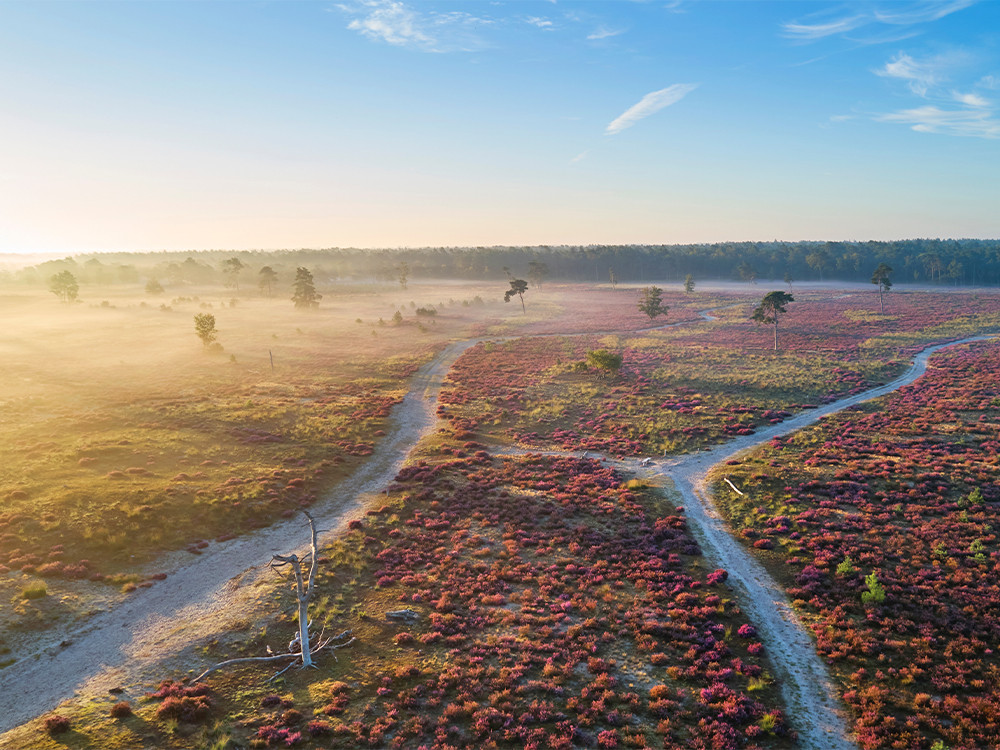 Loonse en Drunense Duinen van bovenaf