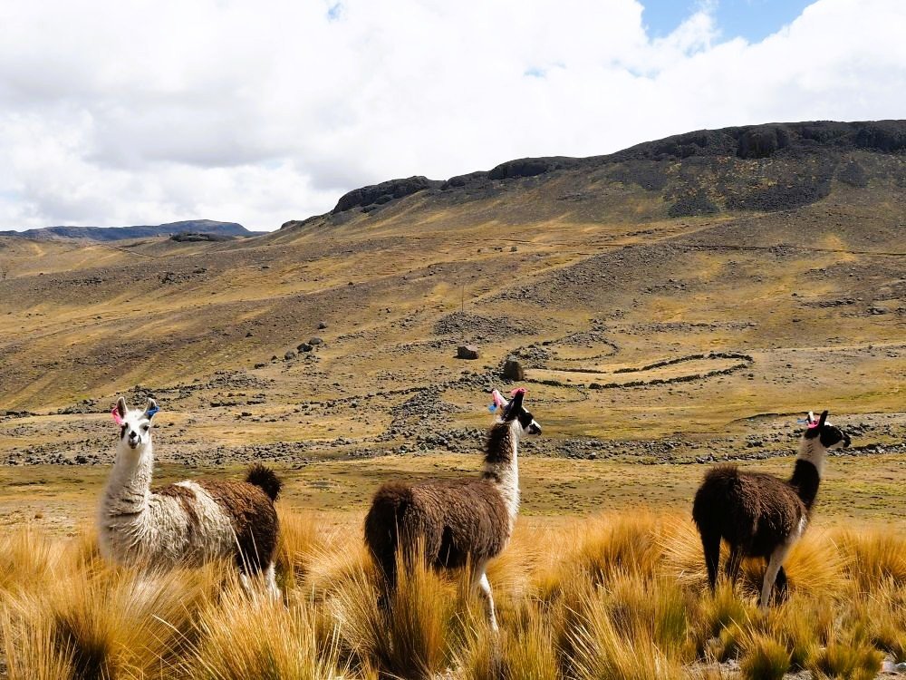 Andes in Peru
