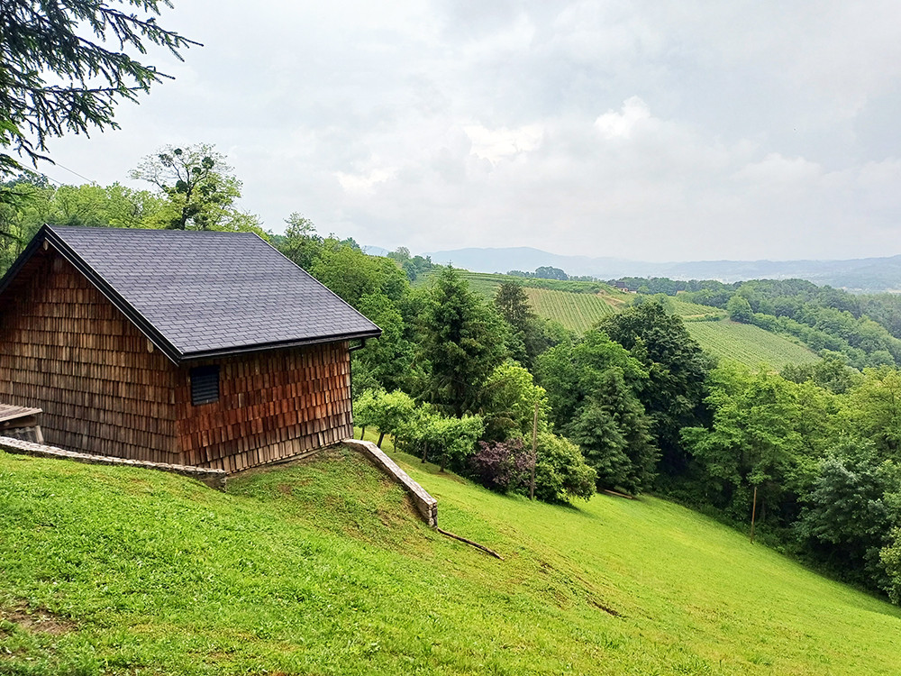 Wijnregio Slovenië