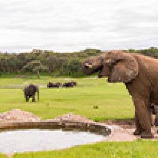 Afbeelding voor Hwange Safari Lodge