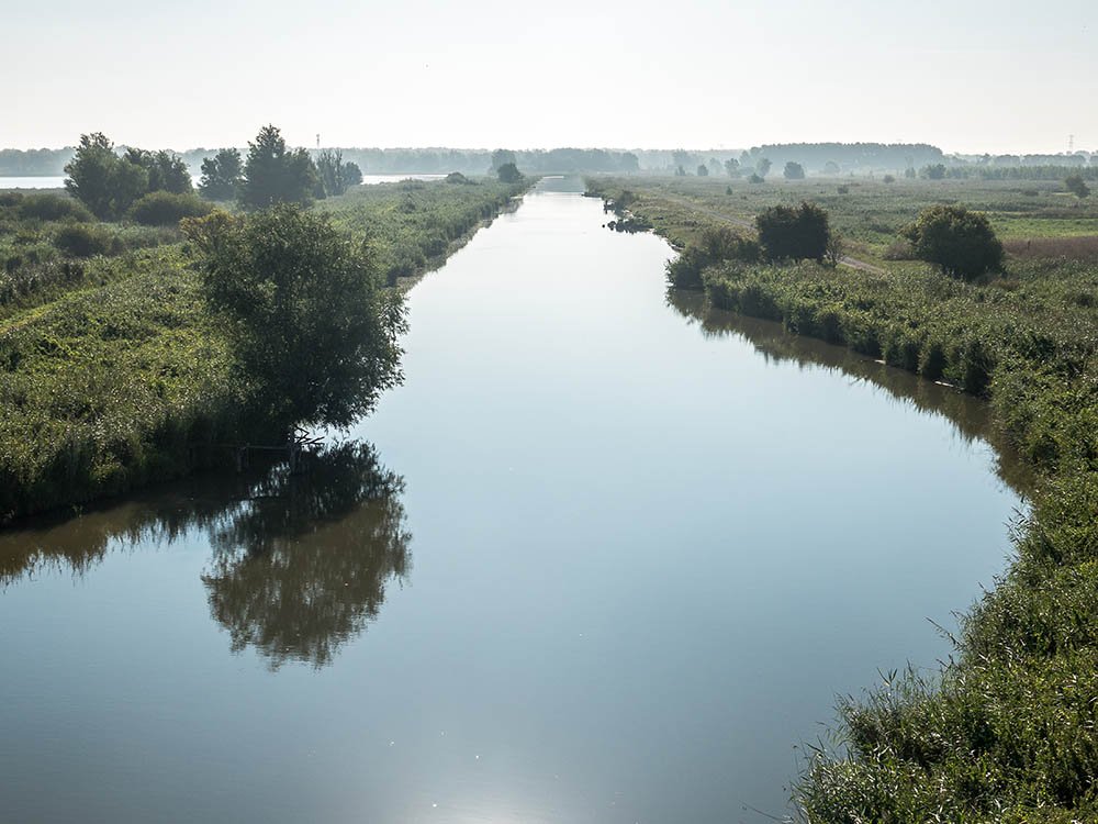 Wetlands van Flevoland