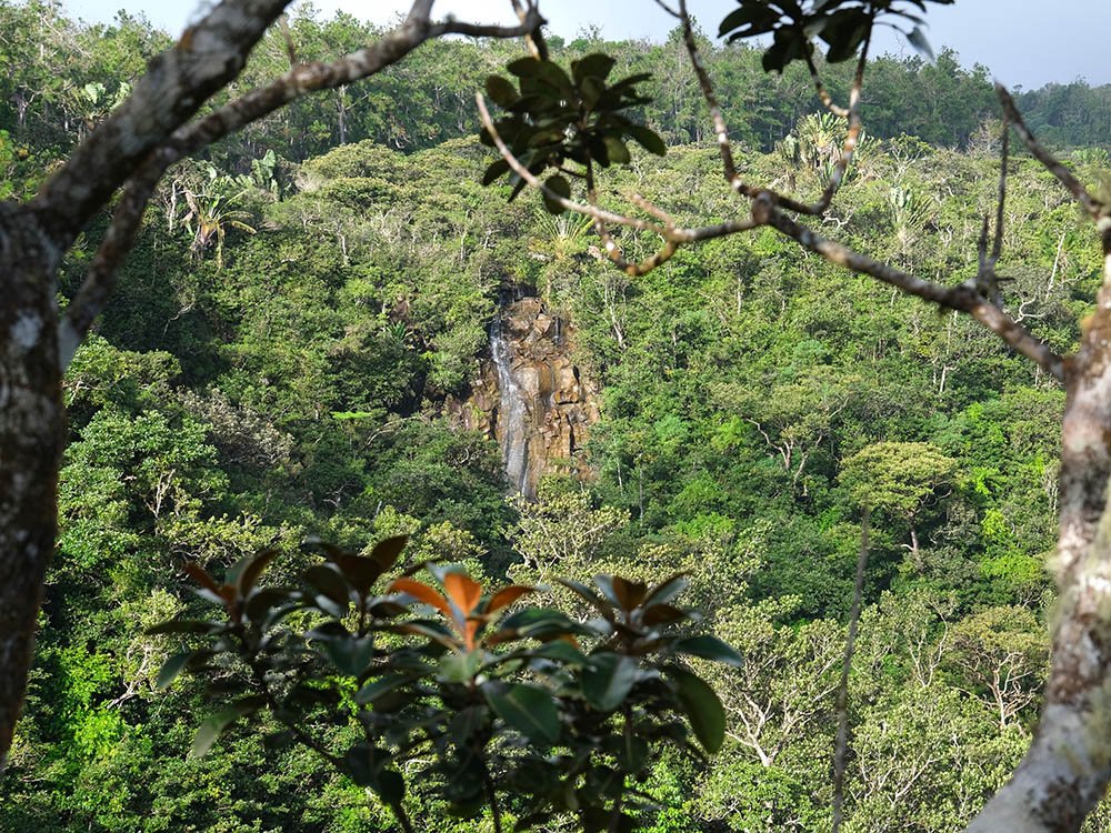 Groen landschap Mauritius
