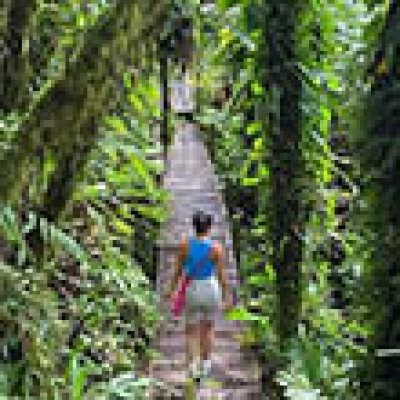 Afbeelding voor Ontdek ongerepte natuur op Saba!