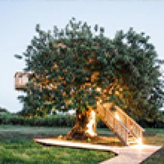 Afbeelding voor Booking.com - Slaap in een boomhut!