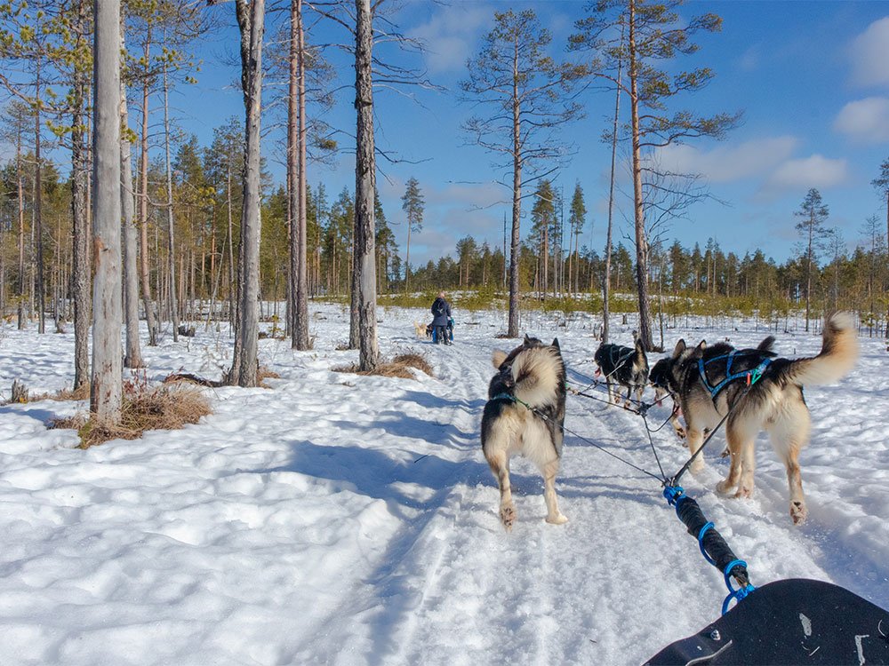 Winterreis Arctisch merengebied