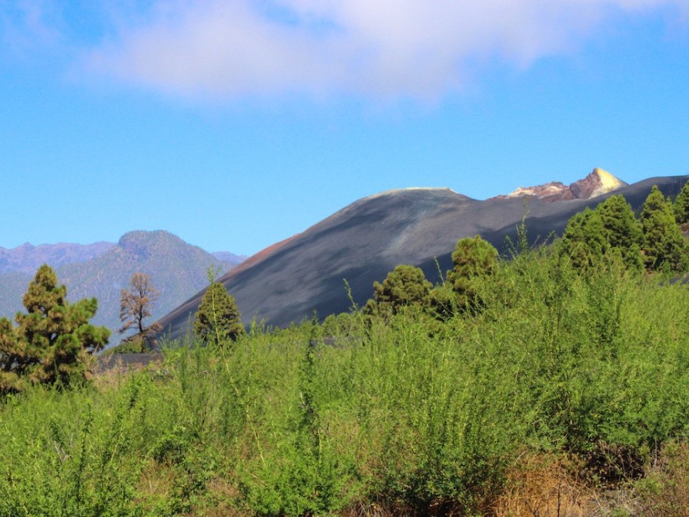 Kleurcontrasten op La Palma