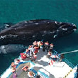 Afbeelding voor GetYourGuide - Excursies
