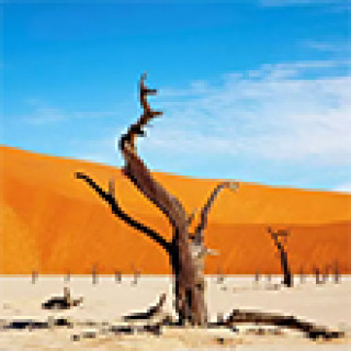 Afbeelding voor ANWB - Rondreis Namibië, Botswana & Zimbabwe
