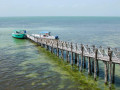 Excursie bij Holbox