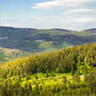 Afbeelding voor Pharos Reizen - De Harz + Rügen