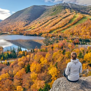 Afbeelding voor New England