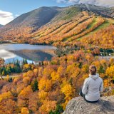 Afbeelding voor New England