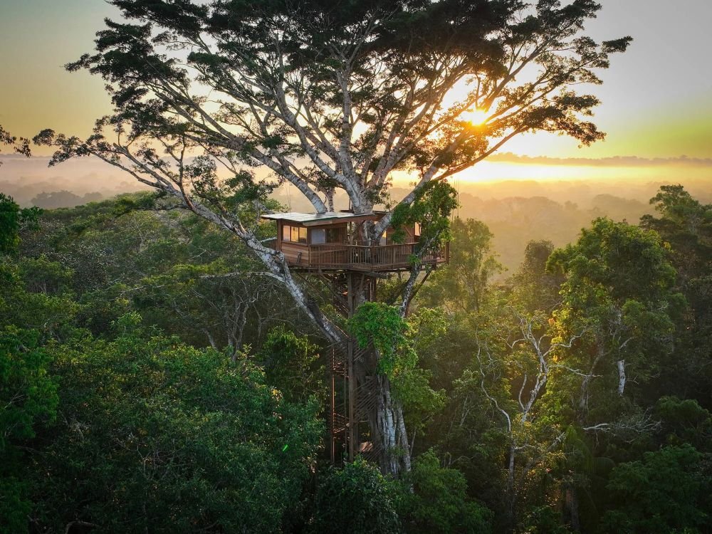 Boomhut in Peru