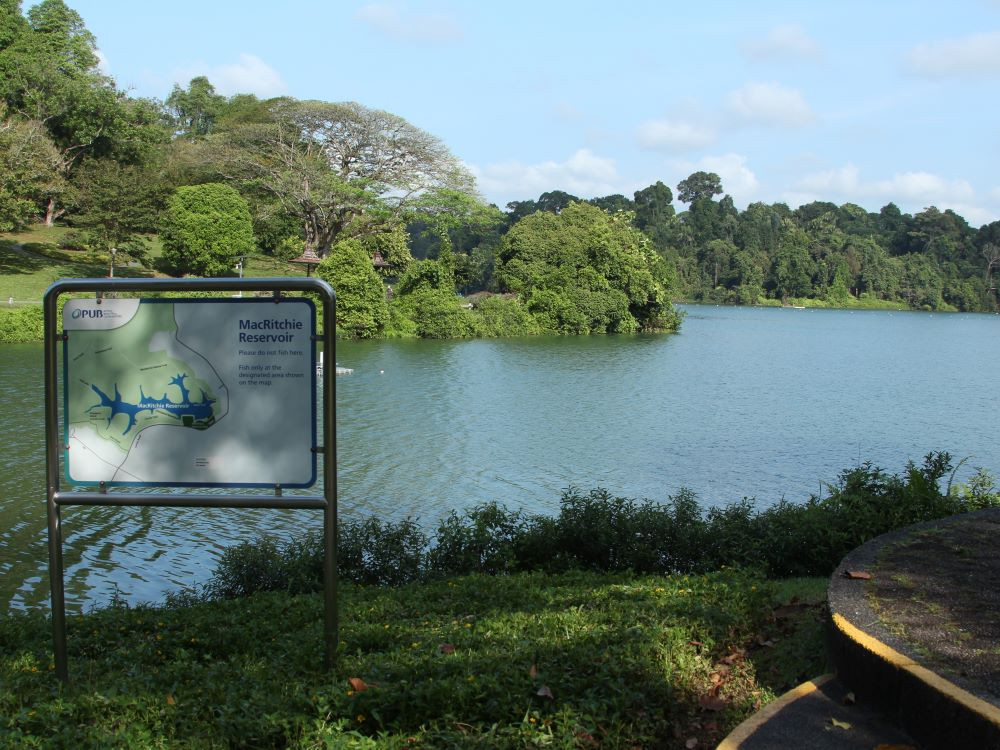 MacRitchie Reservoir