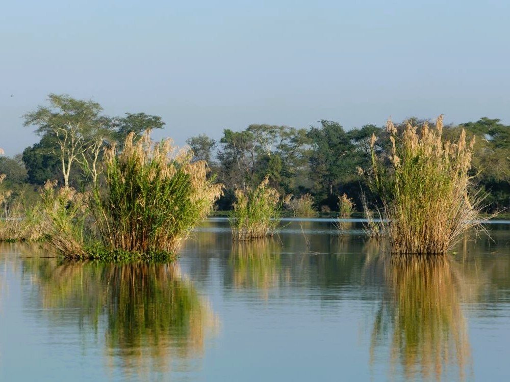 Shire river