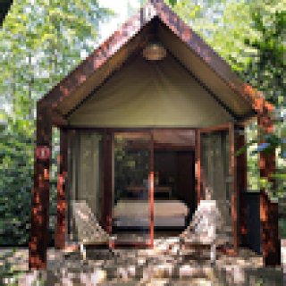 Afbeelding voor 't Wylde Pad - Tiny Houses