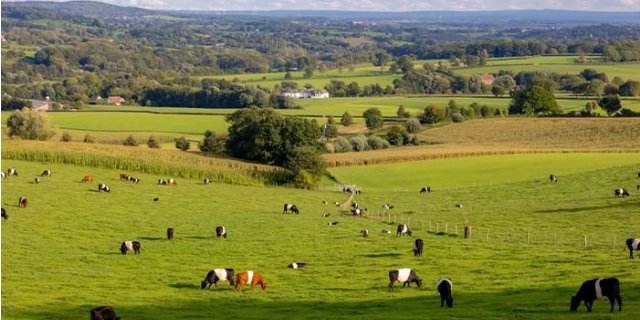 Afbeelding voor Bookatrekking - Wandelvakanties Nederland