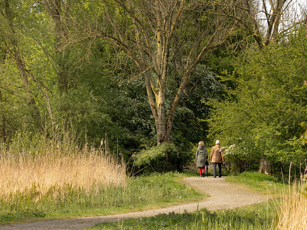 Natuur Almere