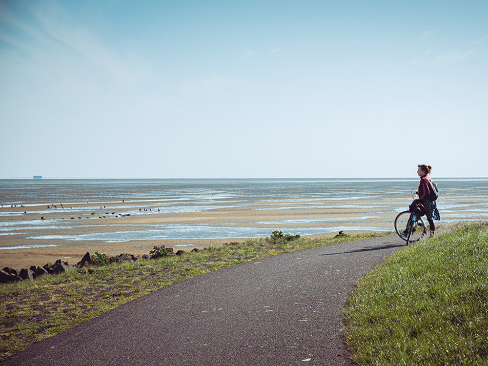 Fietsen langs zeehondjes