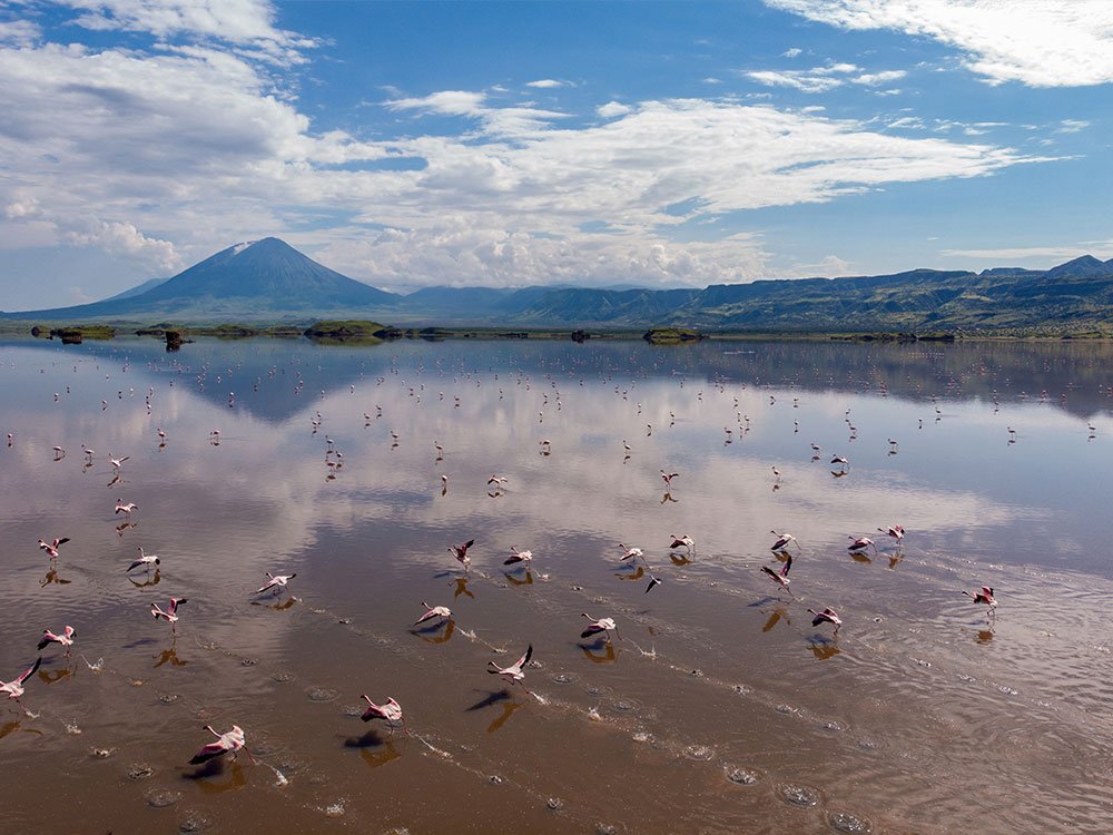 Rondreis Tanzania Travelbase