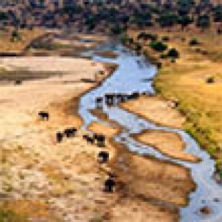 Afbeelding voor Travelbase - Tanzania Nomads