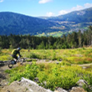 Afbeelding voor Get Your Guide - Fietstours Noorwegen