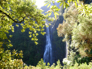 Afbeelding voor Watervallen op Madeira