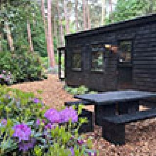 Afbeelding voor Booking.com - Vakantiehuis in het bos