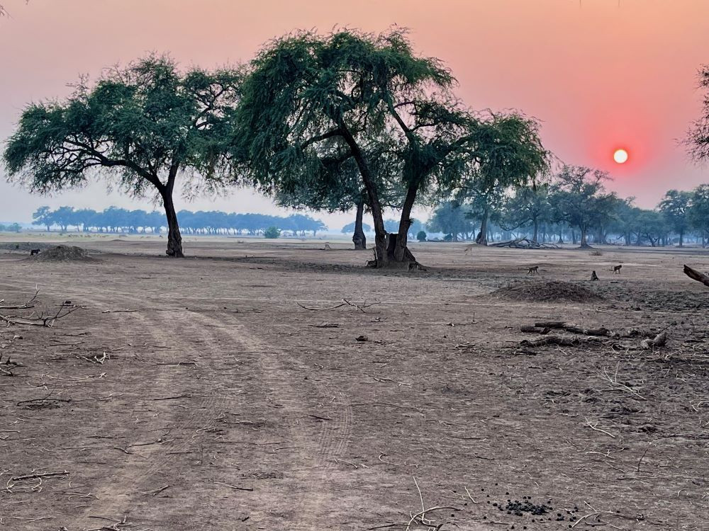 Mana Pools sunset