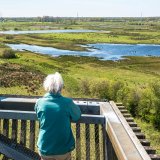 Afbeelding voor De Onlanden