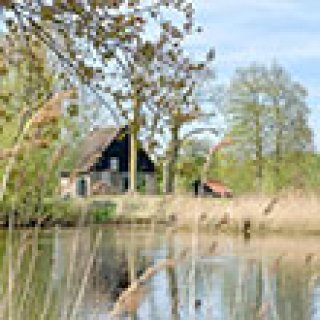 Afbeelding voor Biesboschhuisje Hooge Zwaluwe